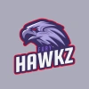 Fury Hawkz