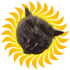 Soneczko
