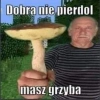 Podlascy_Grzybiarze